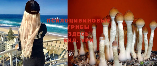 мяу мяу кристалл Белокуриха