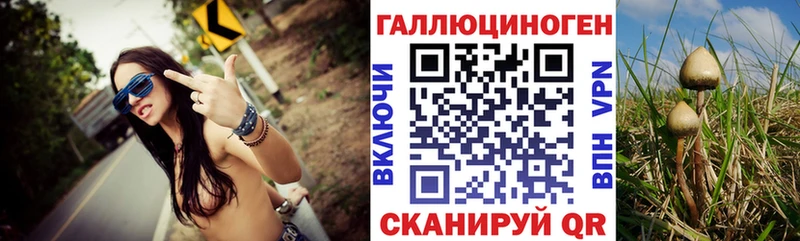 Галлюциногенные грибы Cubensis  Уварово 
